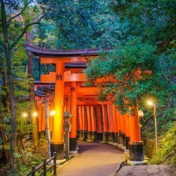 Kyoto, Japan: For those who appreciate tranquility, culture, and history, Kyoto's serene temples, stunning gardens, and rich heritage offer a peaceful and enriching retreat.