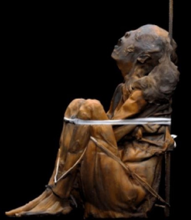 Ancient Mummification: Discover the 8,000-Year-Old Ritual from Portugal!