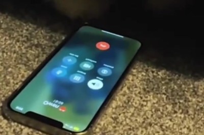 Furry Friends React: Dog and Cat's Hilarious Response to Phone Sounds