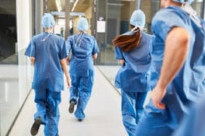 Heartwarming Rescue: Nurse and Wolf Unite to Save Rare Hybrid Puppies