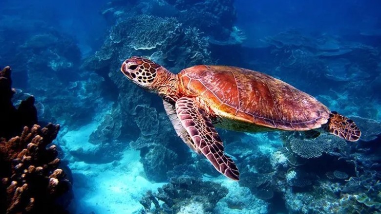 Discover These Stunning Natural Wonders Around the World