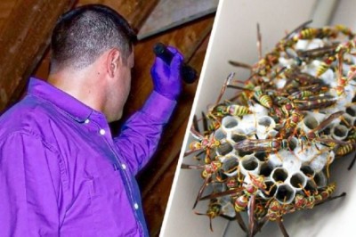 Letting Go: A Story of Sentimental Value and Moving Forward