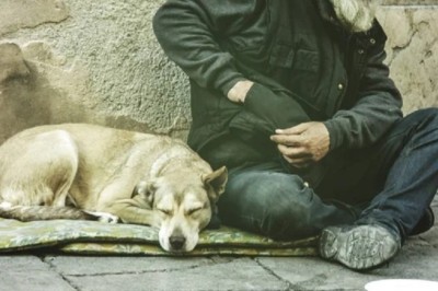 Heartwarming Encounter: Homeless Man's Gift Leads to Unexpected Twist