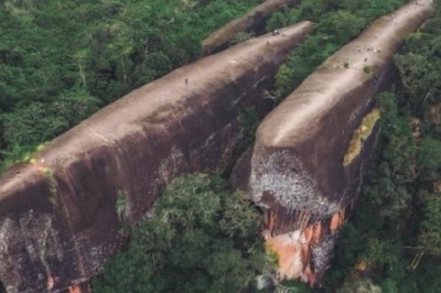 Adventurers Uncover Mysterious Giant Objects in Remote Forest