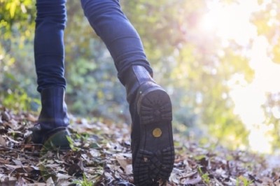 Mysterious Bird Haunts Curious Woman - Unanswered Questions Remain