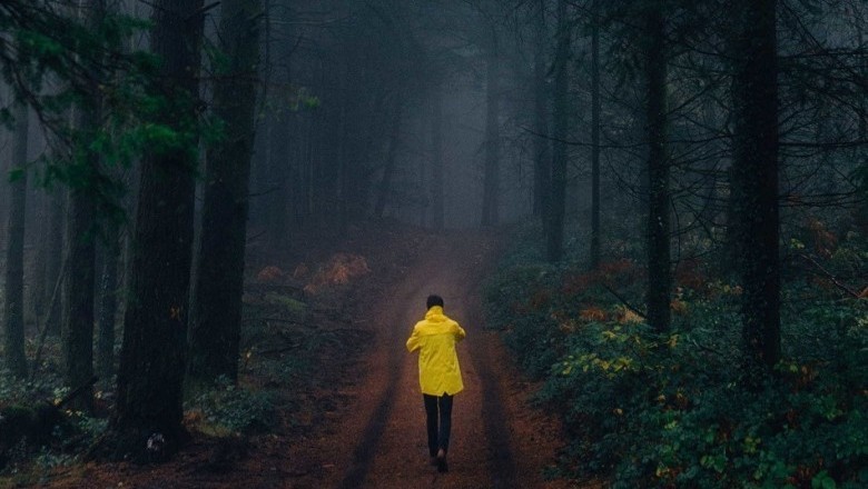 Lost in the Haunted Forest: A Nail-Biting Tale of Survival and Supernatural Encounters