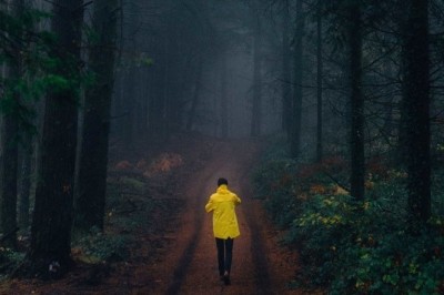 Lost in the Haunted Forest: A Nail-Biting Tale of Survival and Supernatural Encounters