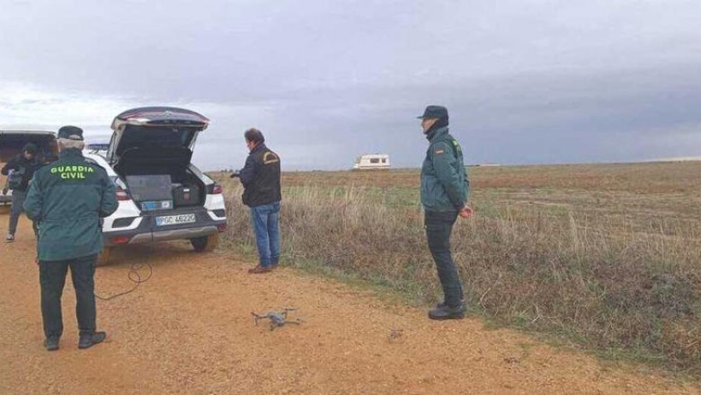Fatal Dog Attack Shakes Spanish Community: Young Woman Tragically Mauled by Herding Dogs