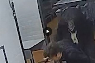 Brutal Mauling by Enormous Bear: A Terrifying Encounter for Security Guard in Secluded Mountain Lodge