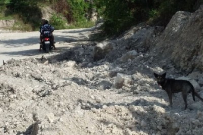 A Miracle Unveiled: The Dog's Message Leads to Stunning Discovery