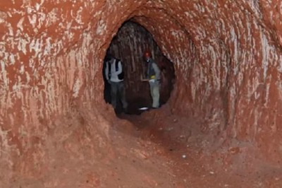 Jungle Secrets Unveiled: Terrifying Tunnels Carved by Ancient Creatures Discovered!