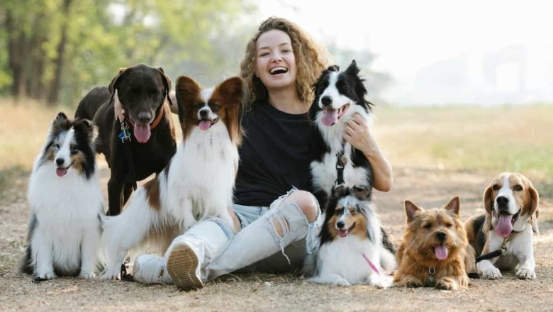 Discover the Friendliest Dog Breeds: Top 15 Breeds Revealed!