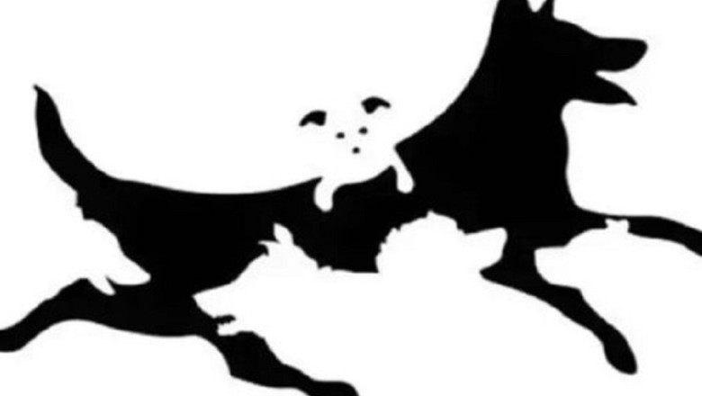 Unlock Your Mental Age: How Many Dogs Can You Spot in This Picture?