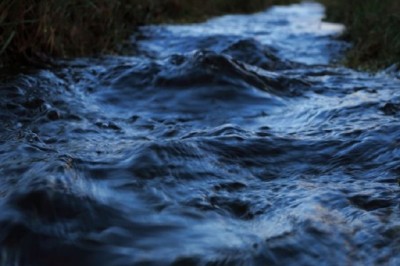 Emotional Journey: Daughter Finds Closure After 50 Years of Searching for Father's Fate