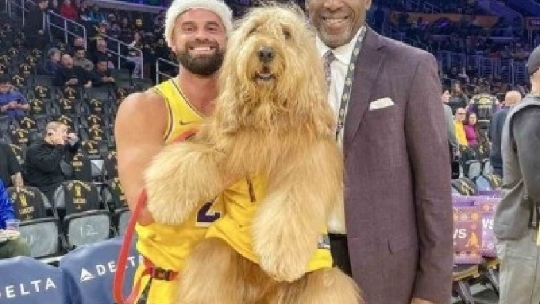 Meet Brodie, the Millionaire Dancing Dog Taking Social Media by Storm