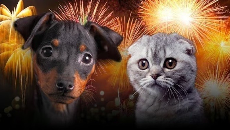 Protect Your Pets: The Ultimate Guide to Keeping Them Calm During New Year's Eve Fireworks!