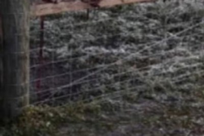 Unbelievable! A Text About a Fence Leads to an Incredible Adoption Story You Won't Believe!