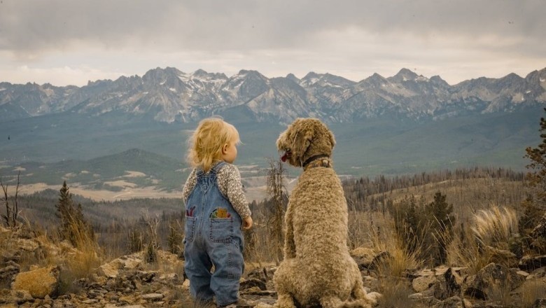 Unforgettable Tales of Beloved Pets: From Feline Charm to Canine Loyalty