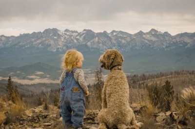 Unforgettable Tales of Beloved Pets: From Feline Charm to Canine Loyalty