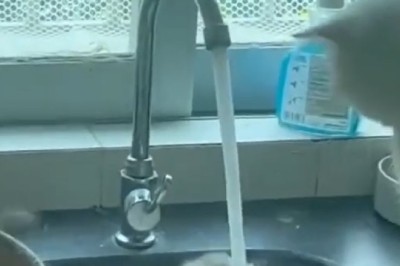 Hilarious Cat Battle Turns into a Surprising Twist: Trapped in the Tap!