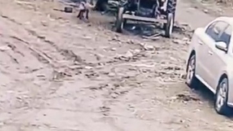 Unleashing Hilarious Chaos: Watch How a Dog Steals the Show and Makes a Plow Tractor with a Car!