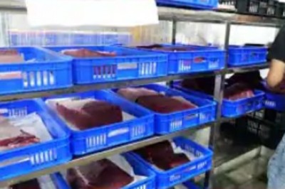 Unveiling the Secrets of Donggan Fish Market: A Seafood Lover's Paradise!