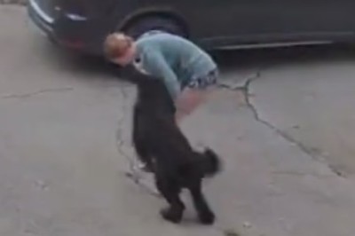Epic Fail! Watch as This Girl Gets Pulled by Her Overenthusiastic Dog and Embarks on the Funniest Fall Ever!
