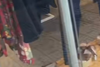 Heartwarming Video of Store Employees' Kindness Towards Stray Dog Goes Vira