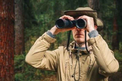 The Nest's Revelation: A Triumph Against Exploitation and Preservation at Its Best