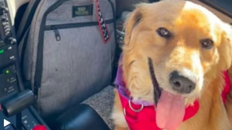 Unexpected Discoveries: Connie's Surprise Pregnancy Captivates Hearts Around the World