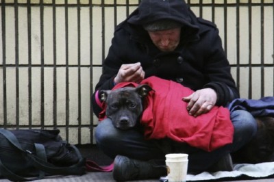Pawsitive Impact: How Pets Bring Hope & Healing to Homeless Hearts