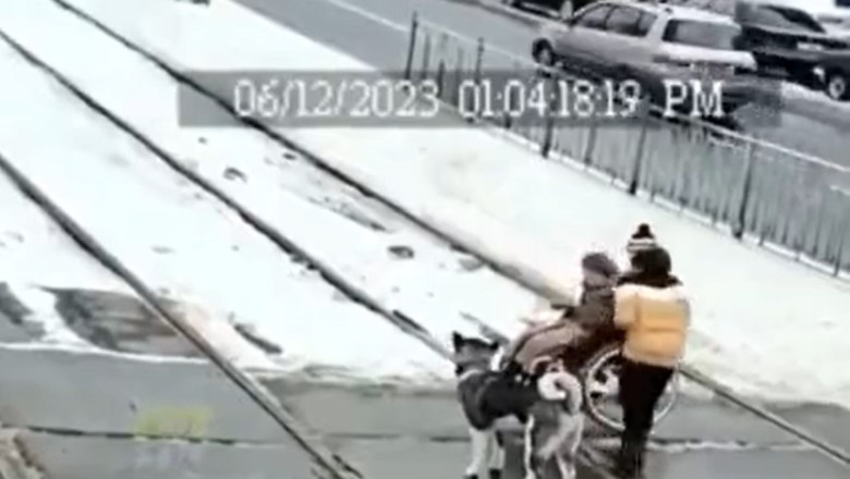 Heartwarming Rescue: Brave Dog Saves Elderly Woman on Train Tracks