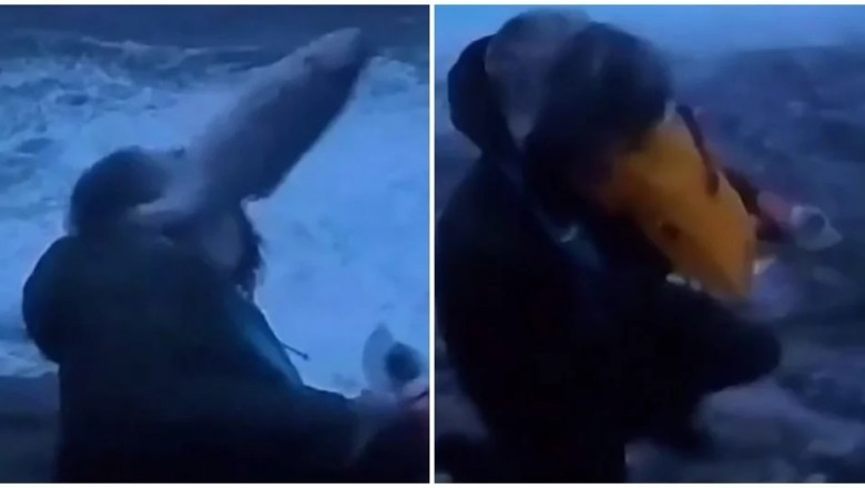 Meteorologist's Reporting on Major Storm in Norway Interrupted by Unexpected Fish Encounter