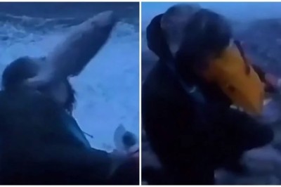Meteorologist's Reporting on Major Storm in Norway Interrupted by Unexpected Fish Encounter