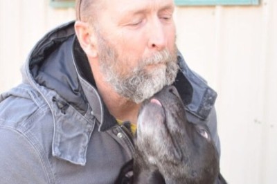 Heartwarming Story of Rescued Dog Named Frosting Touches Hearts Everywhere