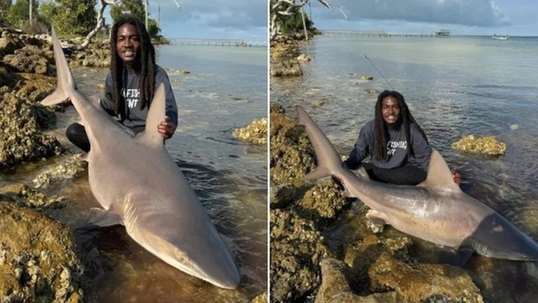Fearless Florida Fisherman Goes Head-to-Head with Sharks - You Won't Believe What Happens Next!