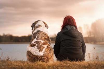 Unleash Your Dog's Potential: Mastering Attention-Seeking Behavior with Expert Tips!