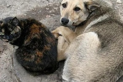 The Unforgettable Choice: A Tale of Hope, Redemption, and Sacrifice