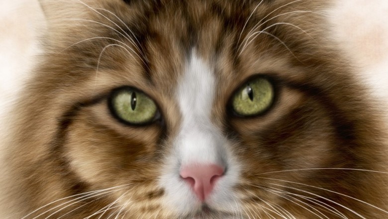 A Joyful Rescue in the Forest