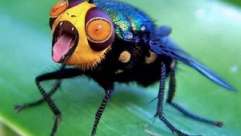 Tragic Decline: The Silent Extinction of Earth's Insects