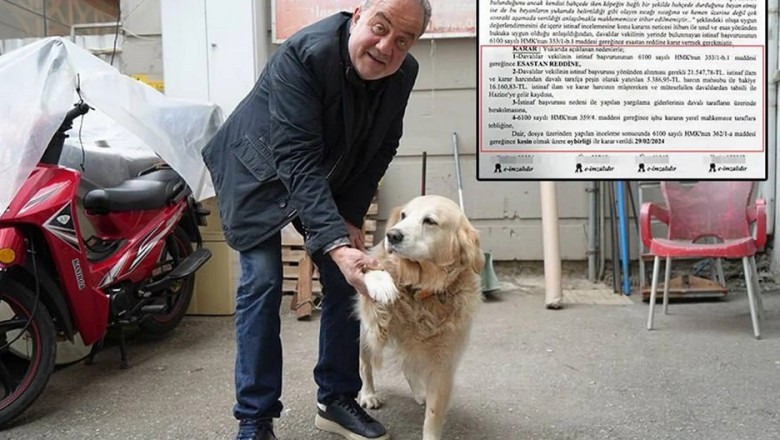 The Heartbreaking Saga of a Dog's Owner: A Tale of Love and Loss