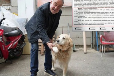 The Heartbreaking Saga of a Dog's Owner: A Tale of Love and Loss