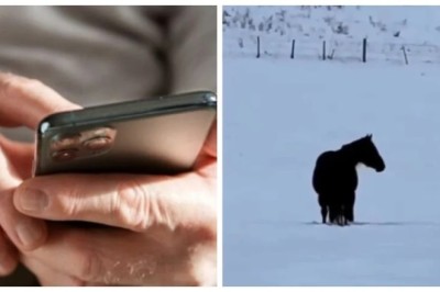 Beware: How a Pensioner Was Duped of 1.5 Million Pesos Through a Cryptocurrency Scam!