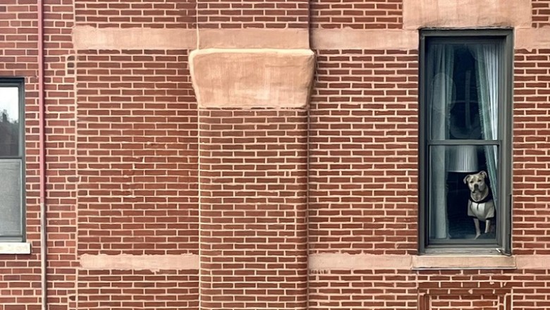 Curious Eyes: The Tale of the Mysterious Watcher