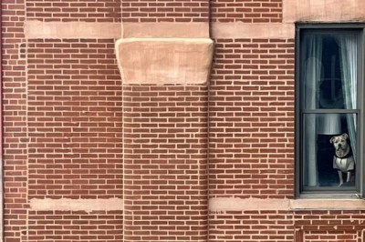 Curious Eyes: The Tale of the Mysterious Watcher