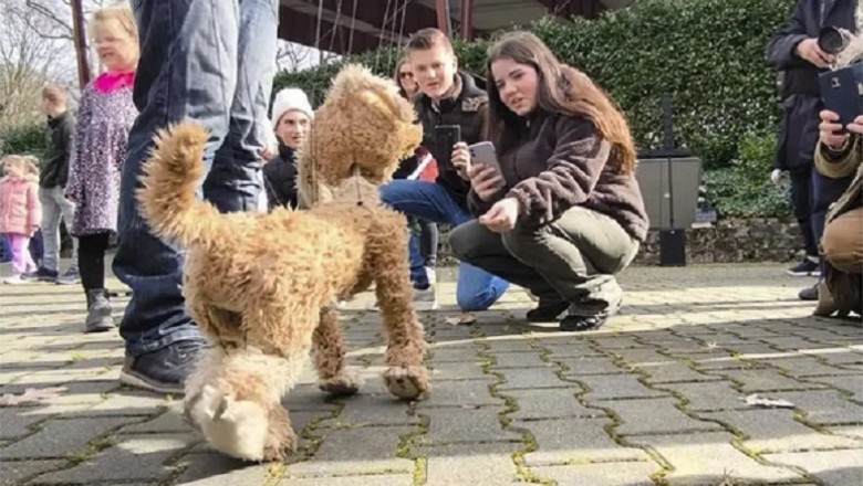 The Story of Burek: A Puppet That Behaved Like a Real Dog