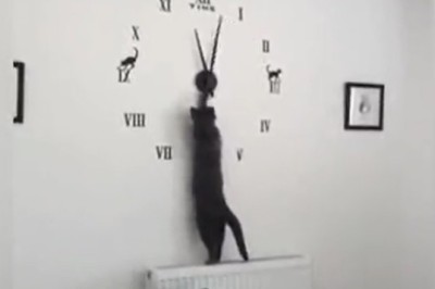 Pawsitively Hilarious: Cat Caught Red-Pawed Altering Time on Clock!