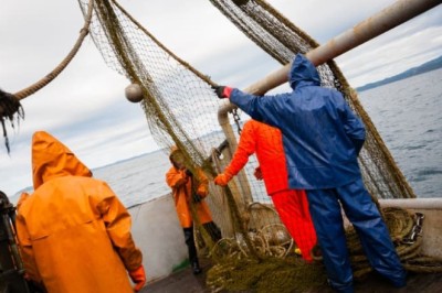 Unbelievable Discovery: Fishermen Catch Ancient Creature Thought to be Extinct!