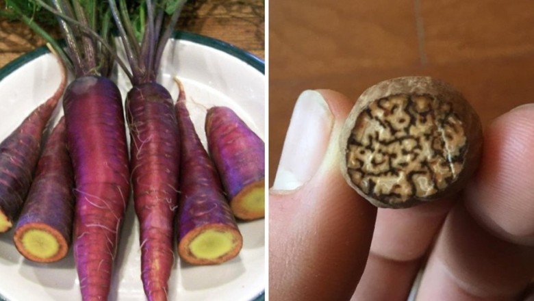 16 Mind-Blowing Food Facts That Will Change How You See Your Meals!