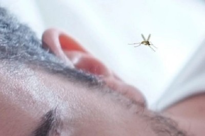 Unveiling the Flight Capabilities of Mosquitoes: From Ground to High-Rise Floors